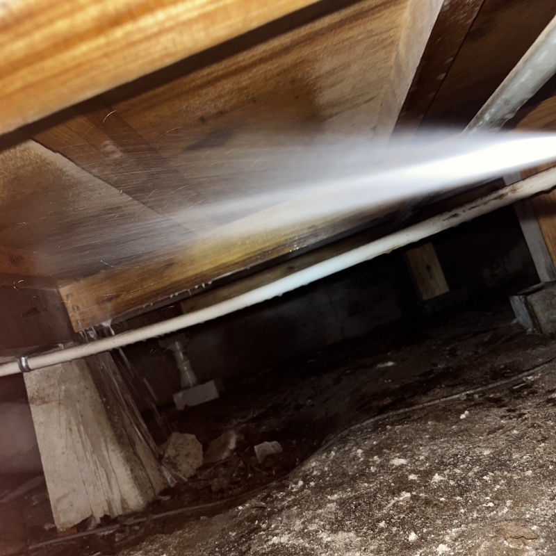 床下の木材に防蟻剤を散布する様子