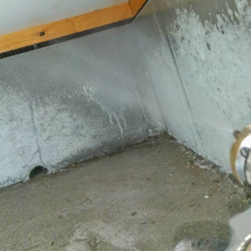 床下の基礎部分に防蟻剤を散布する様子