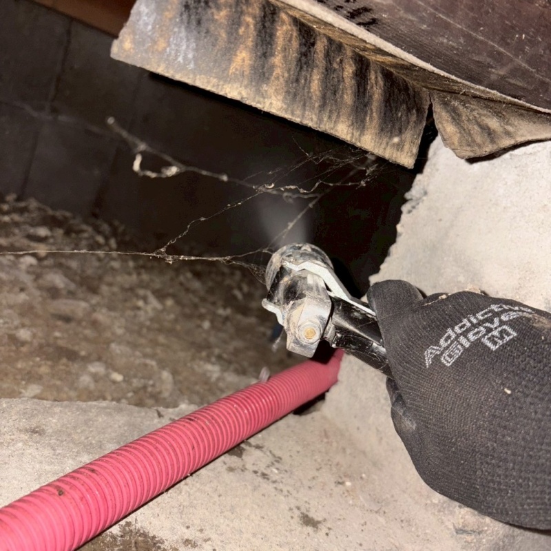 シロアリ駆除の施工事例（山口県山口市金古曽町）