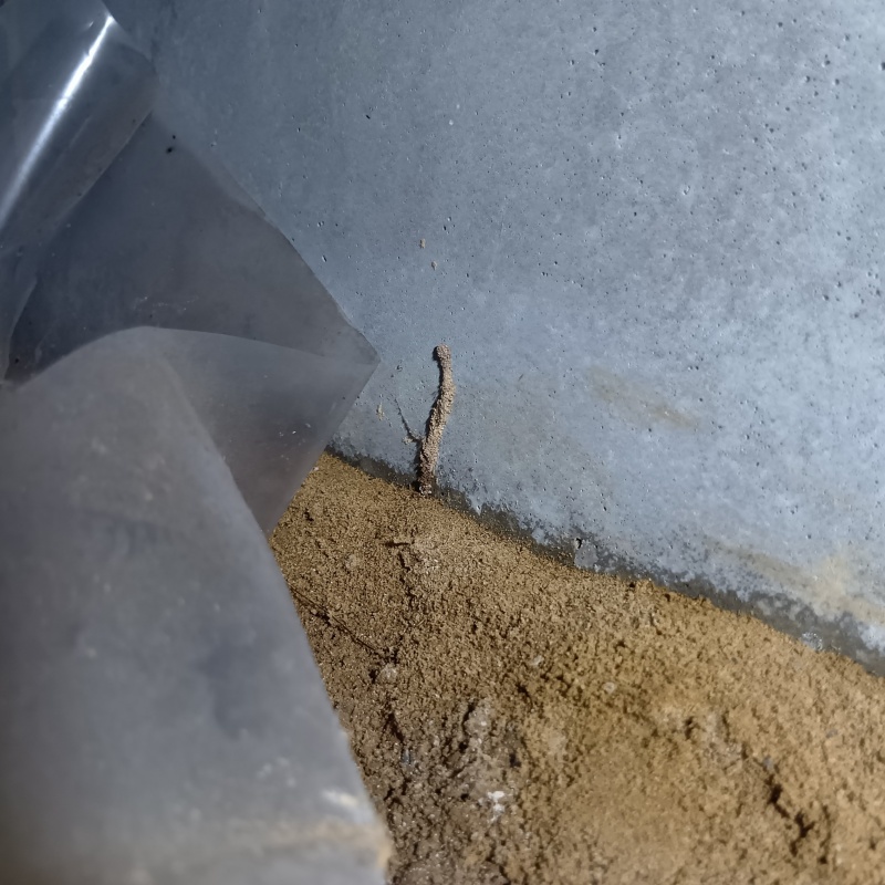 築年数16年のシロアリ予防の施工事例（東京都多摩市豊ヶ丘）