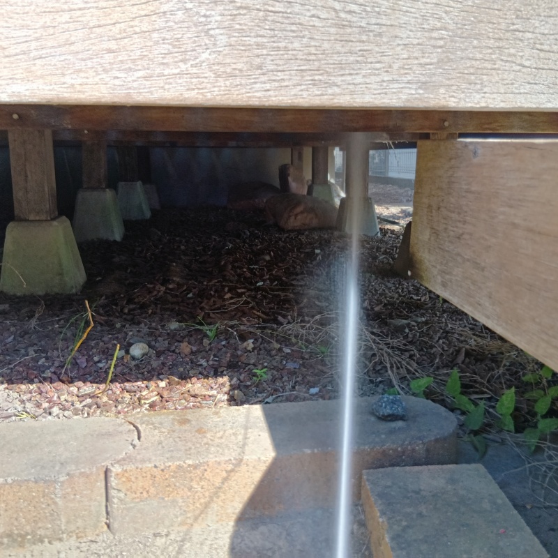 ウッドデッキに防蟻剤を散布する様子