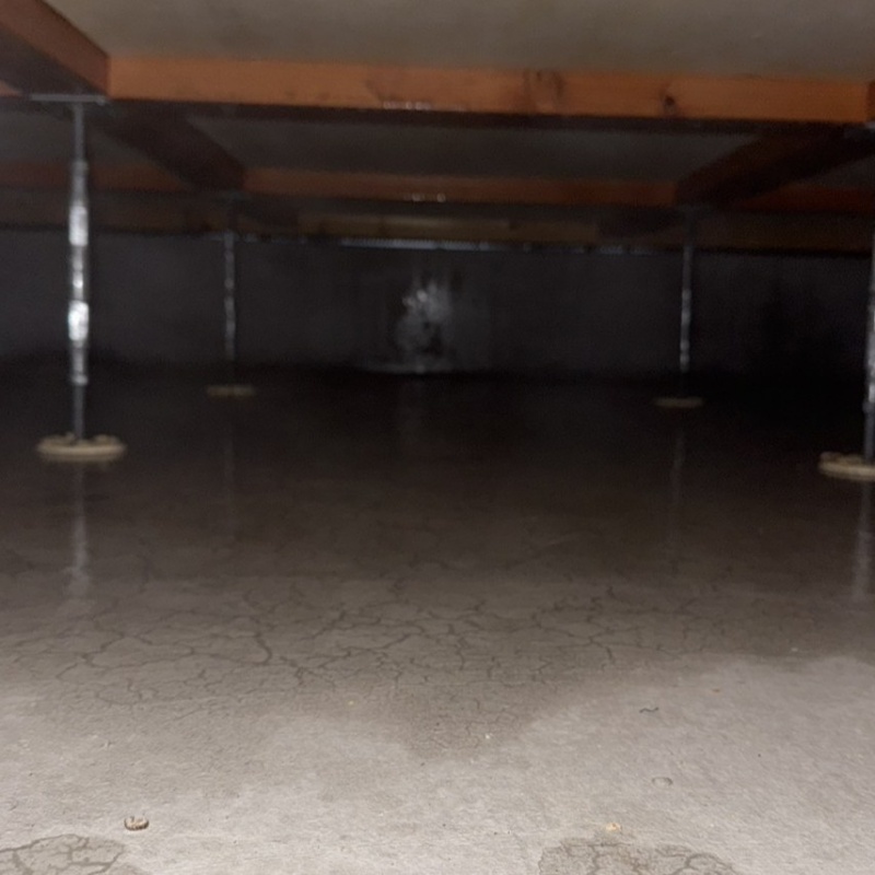 床下の基礎部分に防蟻剤を散布した様子