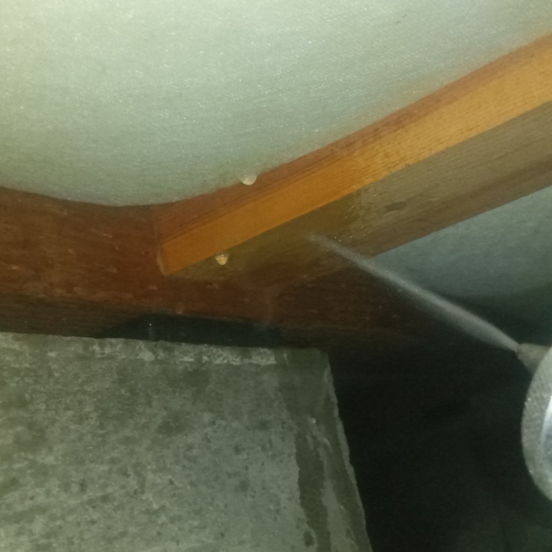 床下の木材にシロアリ駆除剤を散布する様子