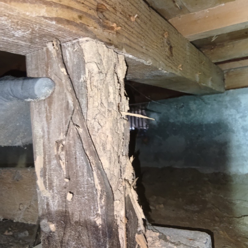築年数31年のシロアリ駆除の施工事例（福島県福島市岡部字大旦）