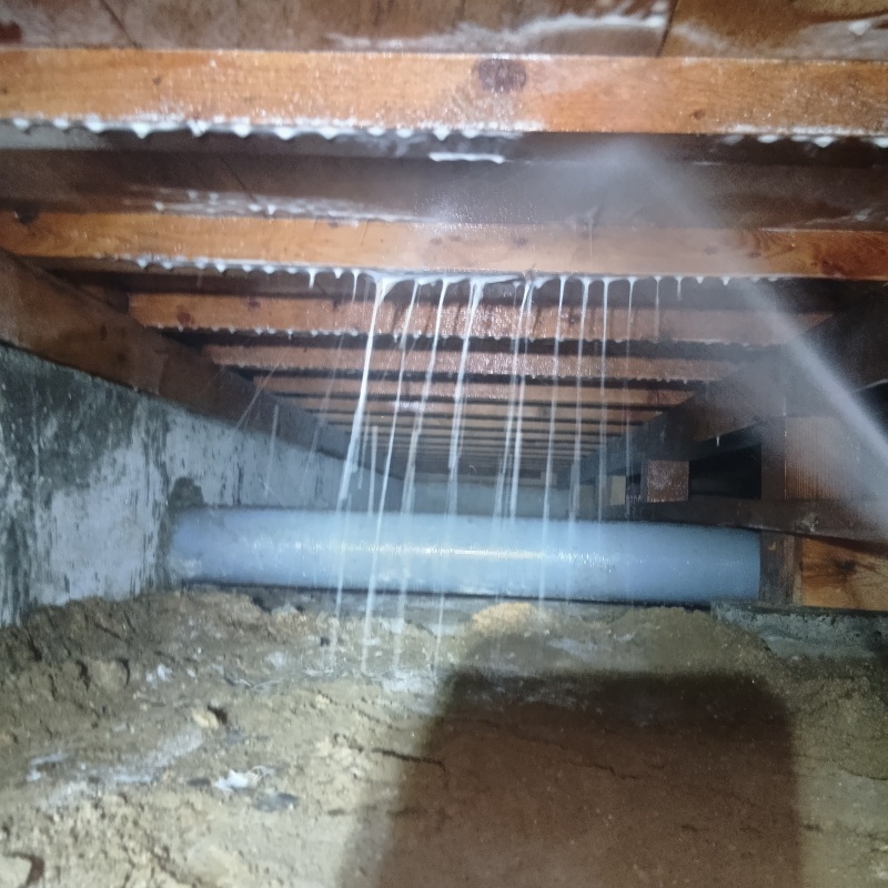 床下の木材にシロアリ駆除剤を散布する様子