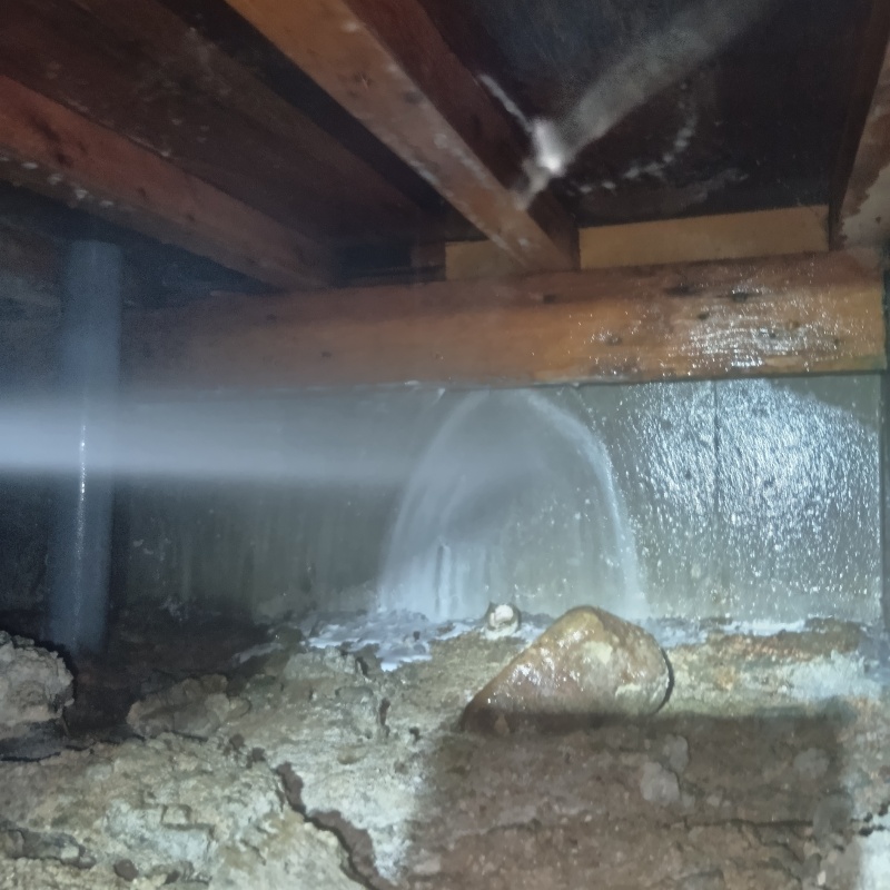 床下の基礎部分にシロアリ駆除剤を散布する様子