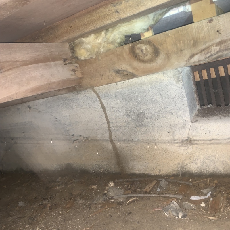 築年数50年のシロアリ駆除の施工事例（石川県金沢市新保本）