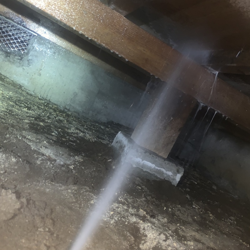 床下の木材にシロアリ駆除剤を散布する様子