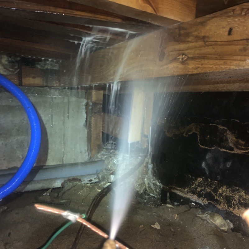 床下の木材にシロアリ駆除剤を散布する様子