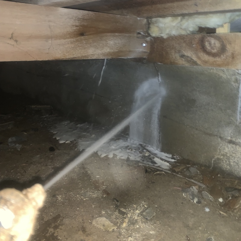 床下の基礎部分にシロアリ駆除剤を散布する様子