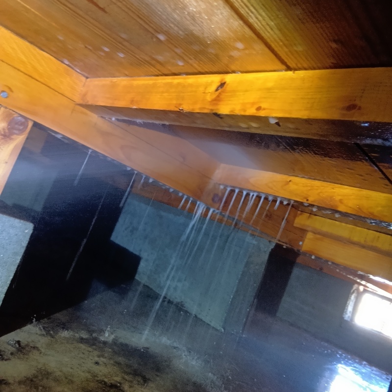 床下の木材にシロアリ駆除剤を散布する様子