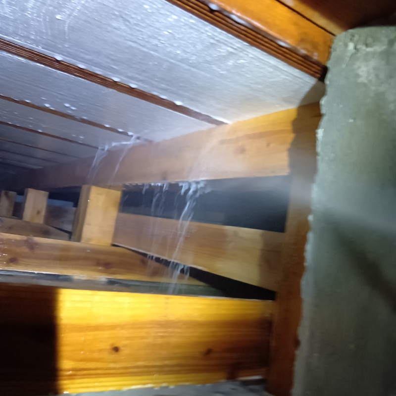 床下の木材にシロアリ駆除剤を散布する様子