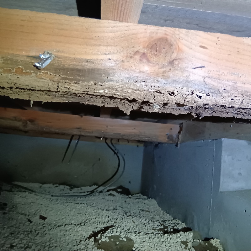 築年数32年のシロアリ駆除の施工事例（山梨県甲州市塩山上於曽）