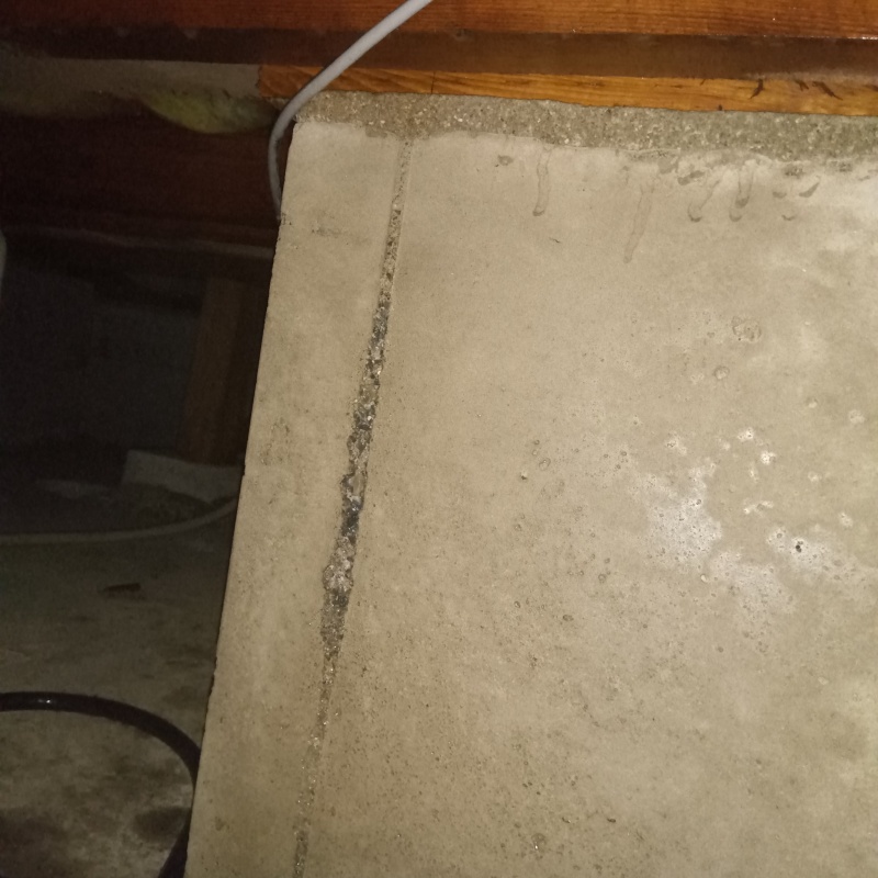 築年数20年のシロアリ駆除の施工事例（愛知県名古屋市中村区日比津町）