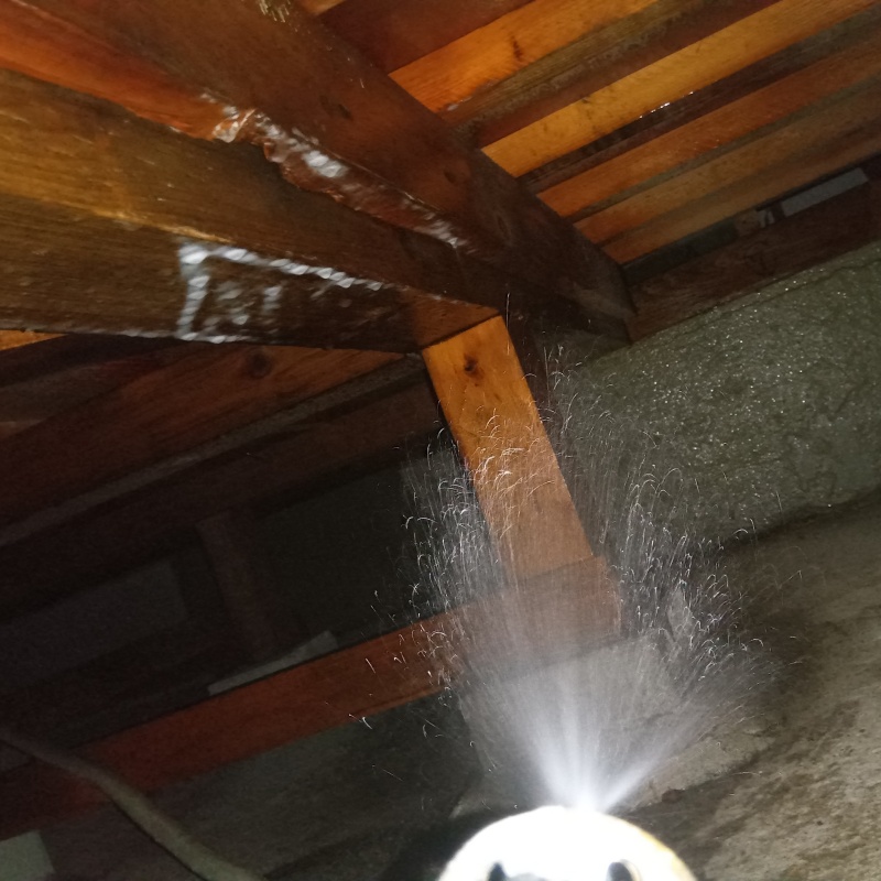 床下の木材にシロアリ駆除剤を散布する様子