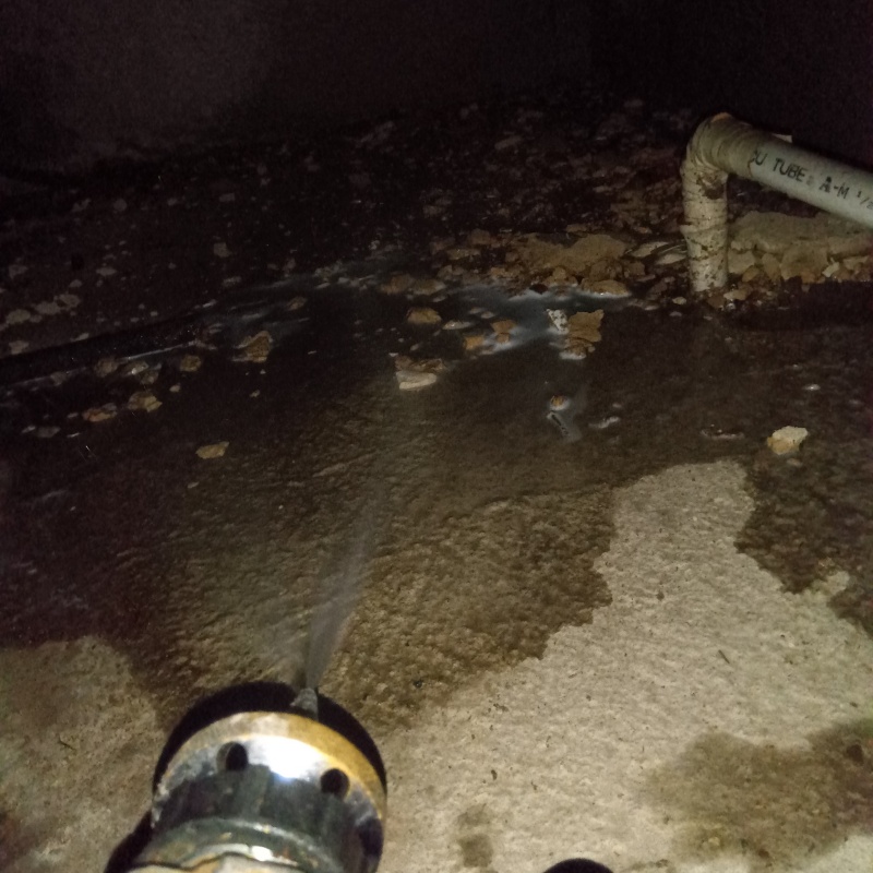 床下の土壌にシロアリ駆除剤を散布する様子