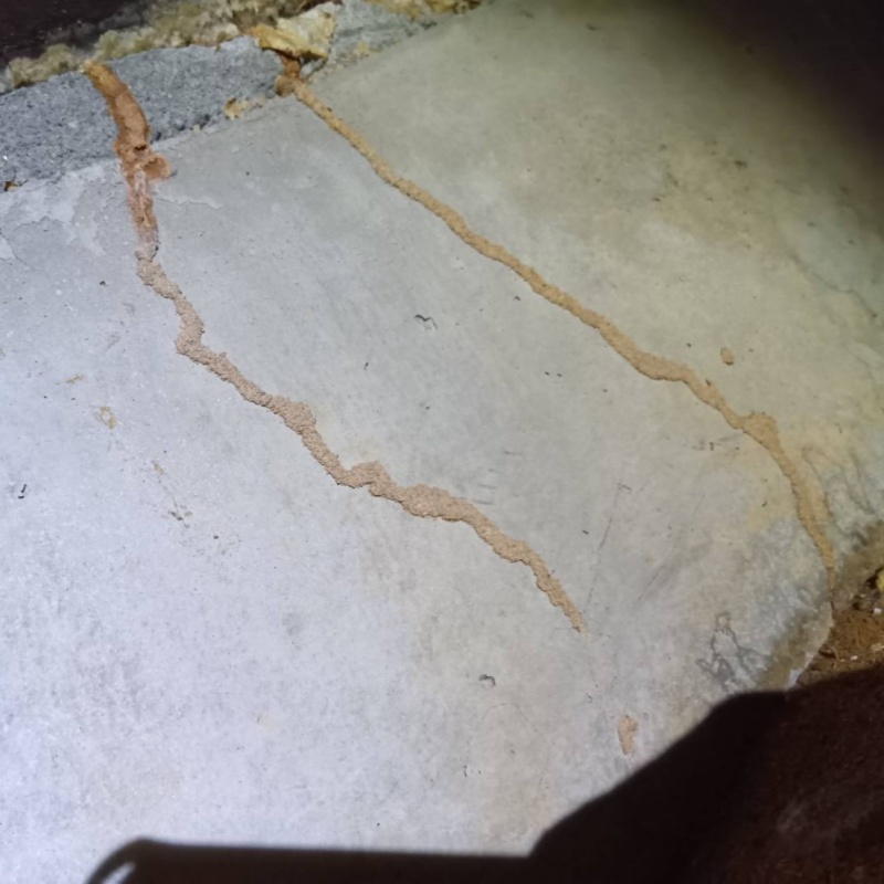 築年数46年のシロアリ駆除の施工事例（愛知県豊橋市多米東町）