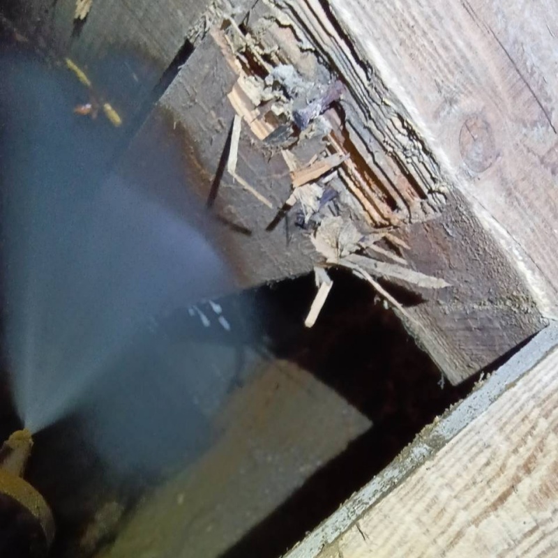 床下の木材にシロアリ駆除剤を散布する様子