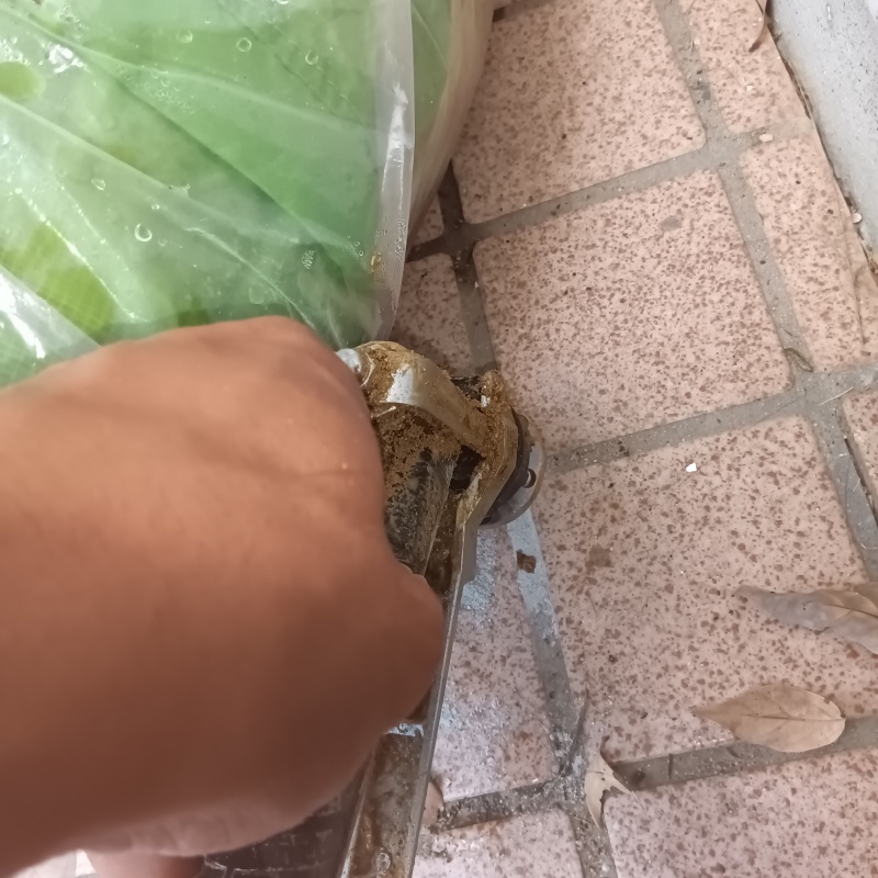 玄関の床にシロアリ駆除剤を注入する様子