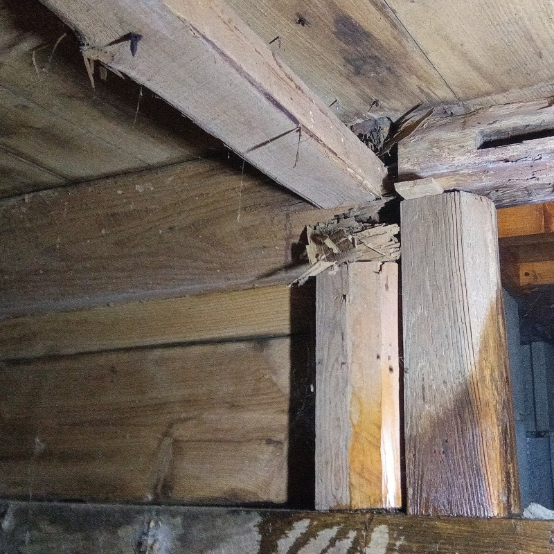 築年数70年のシロアリ駆除の施工事例（岡山県美作市）