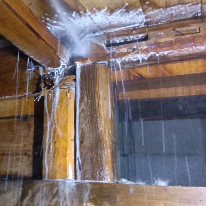 床下の木材にシロアリ駆除剤を散布する様子