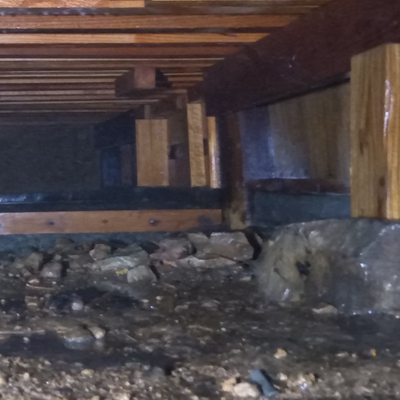 床下の土壌にシロアリ駆除剤を散布した様子