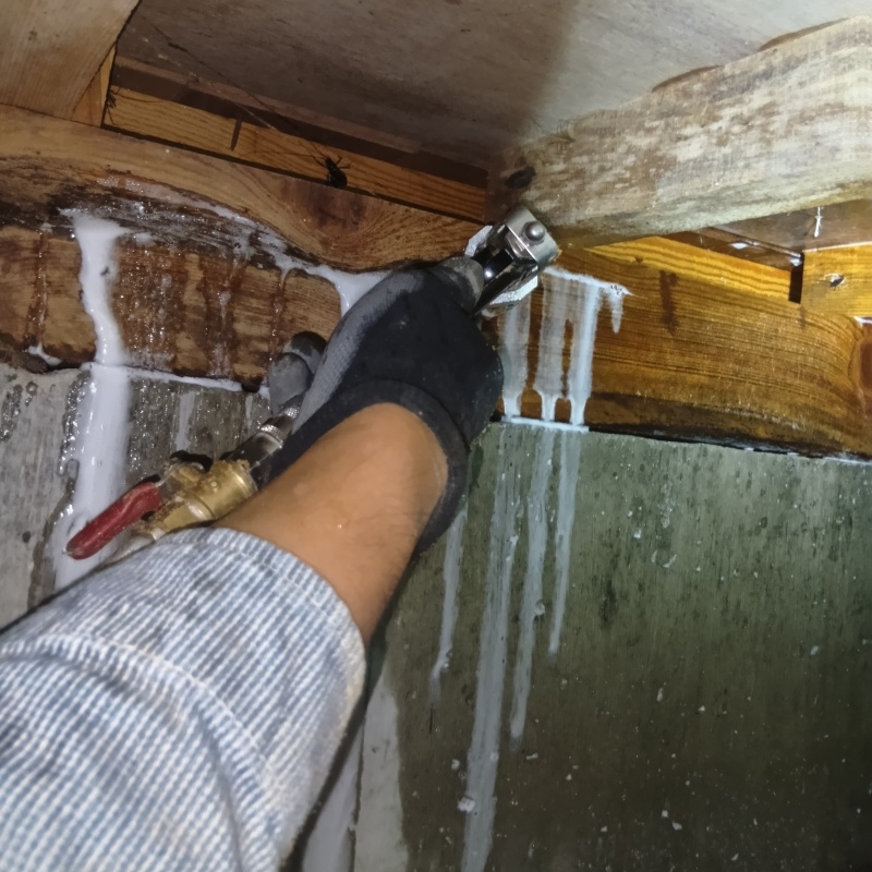 床下の木材にシロアリ駆除剤を散布する様子