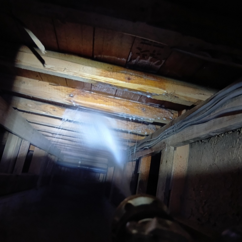 床下の木材にシロアリ駆除剤を散布する様子