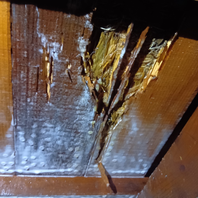 築年数40年のシロアリ駆除の施工事例（群馬県高崎市藤塚町）