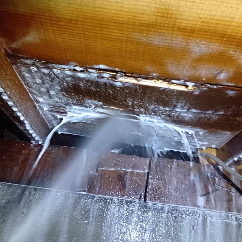 床下の木材にシロアリ駆除剤を散布する様子