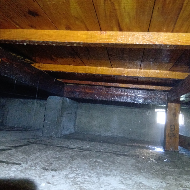 床下の基礎部分に防蟻剤を散布した様子