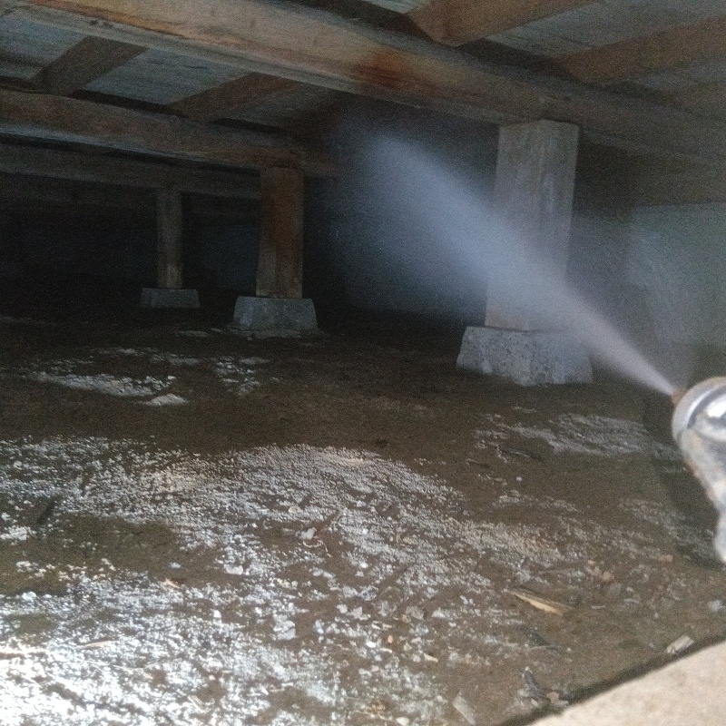 床下の木材に防蟻剤を散布する様子