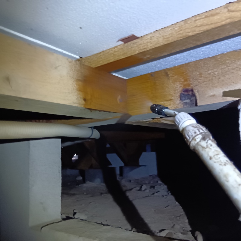 床下の木材に防蟻剤を散布する様子