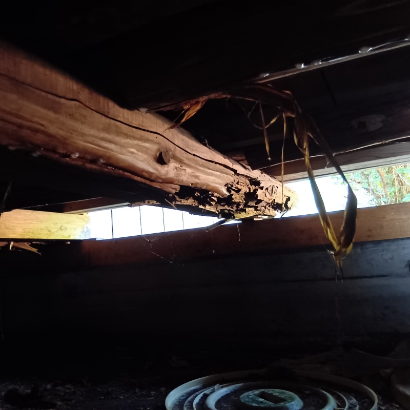 築年数56年のシロアリ駆除の施工事例（千葉県成田市所）