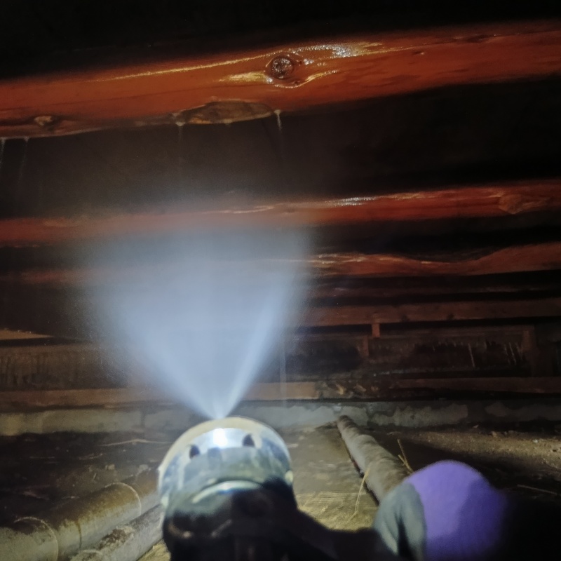 床下の木材にシロアリ駆除剤を散布する様子