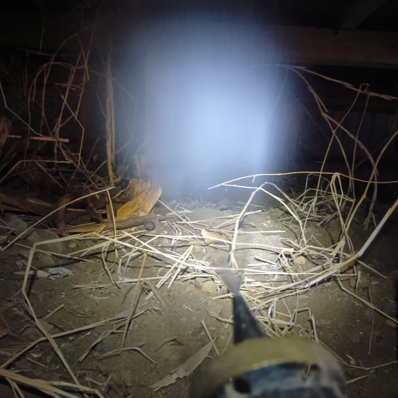 床下の土壌にシロアリ駆除剤を散布する様子