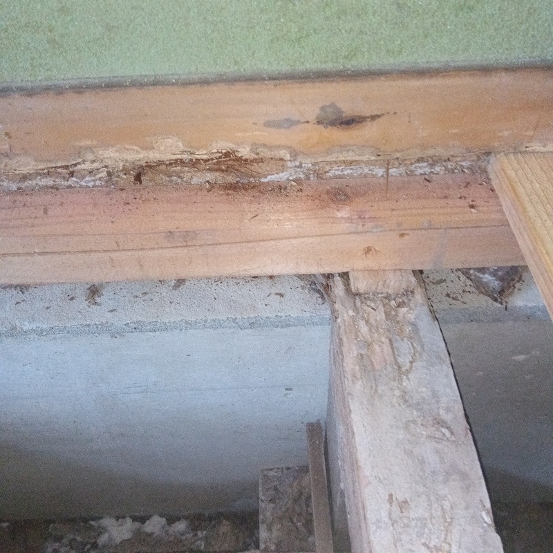 築年数50年のシロアリ駆除の施工事例（長崎県佐世保市有福町）