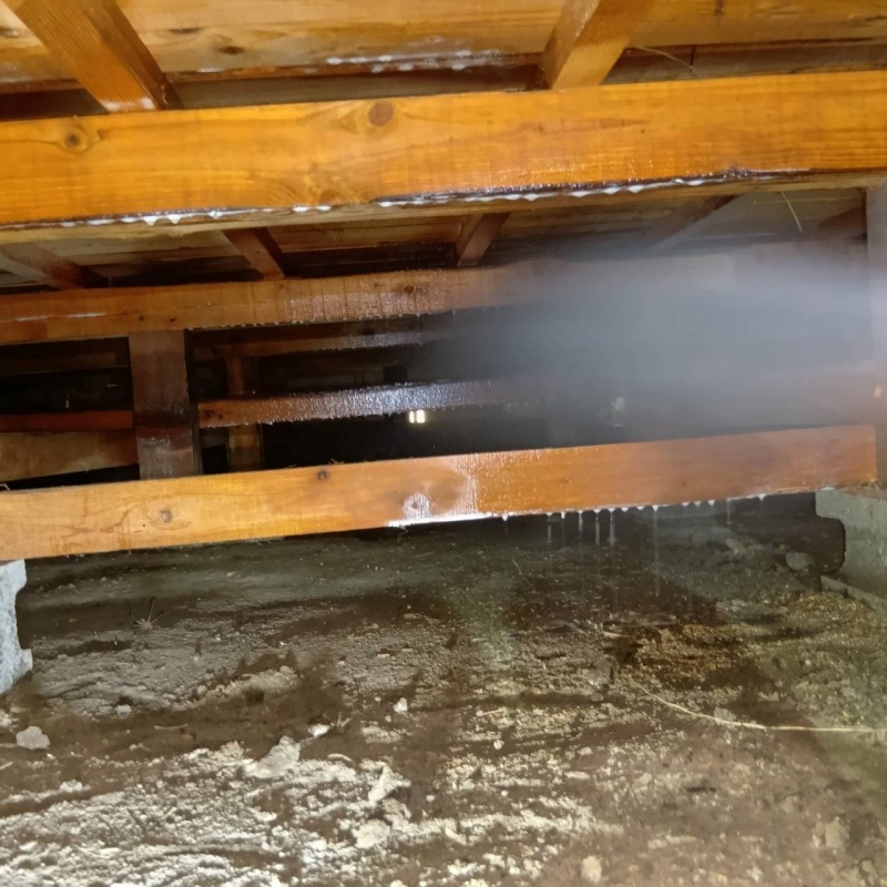 床下の木材にシロアリ駆除剤を散布する様子