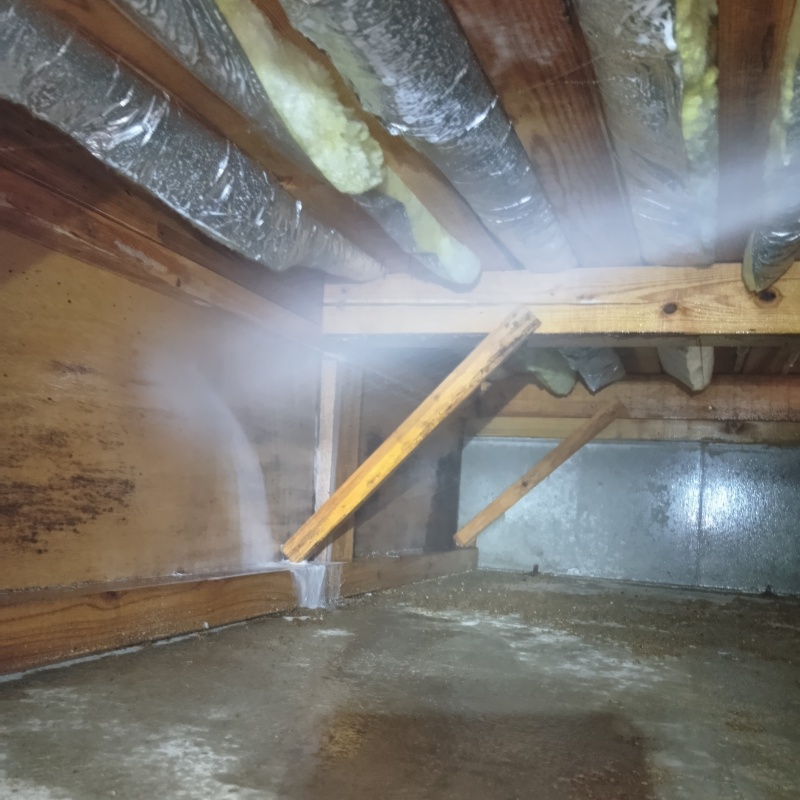 床下の木材にシロアリ駆除剤を散布する様子