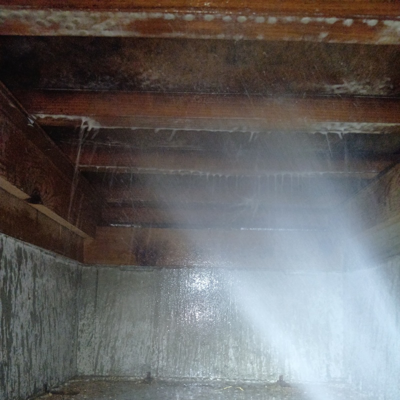 床下の木材にシロアリ駆除剤を散布する様子