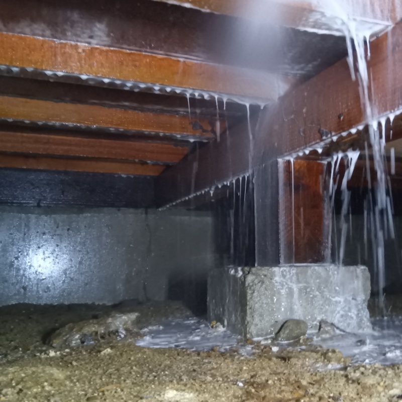 床下の木材にシロアリ駆除剤を散布する様子