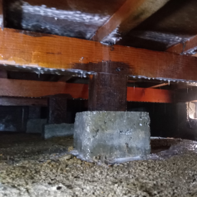 床下の木材にシロアリ駆除剤を散布する様子