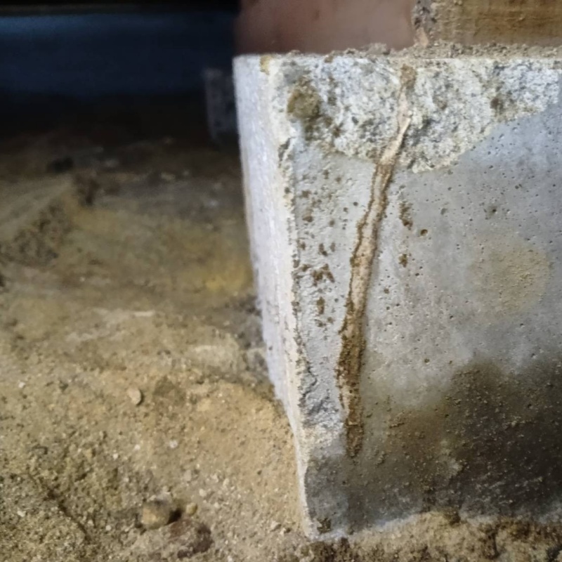 築年数35年のシロアリ駆除の施工事例（愛知県弥富市）