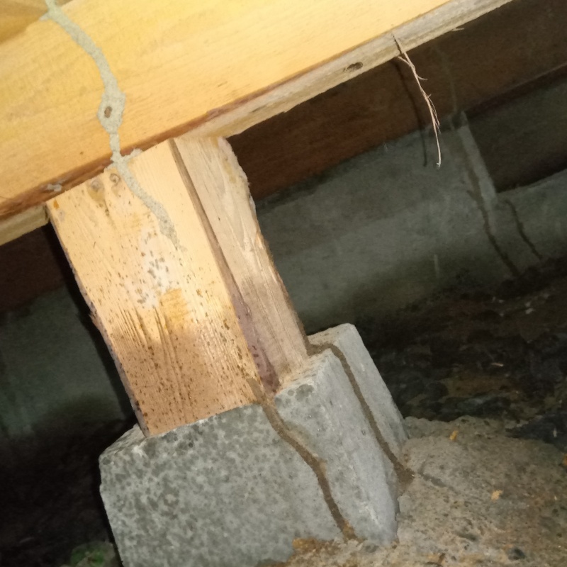 築年数100年のシロアリ駆除の施工事例（静岡県藤枝市上当間）