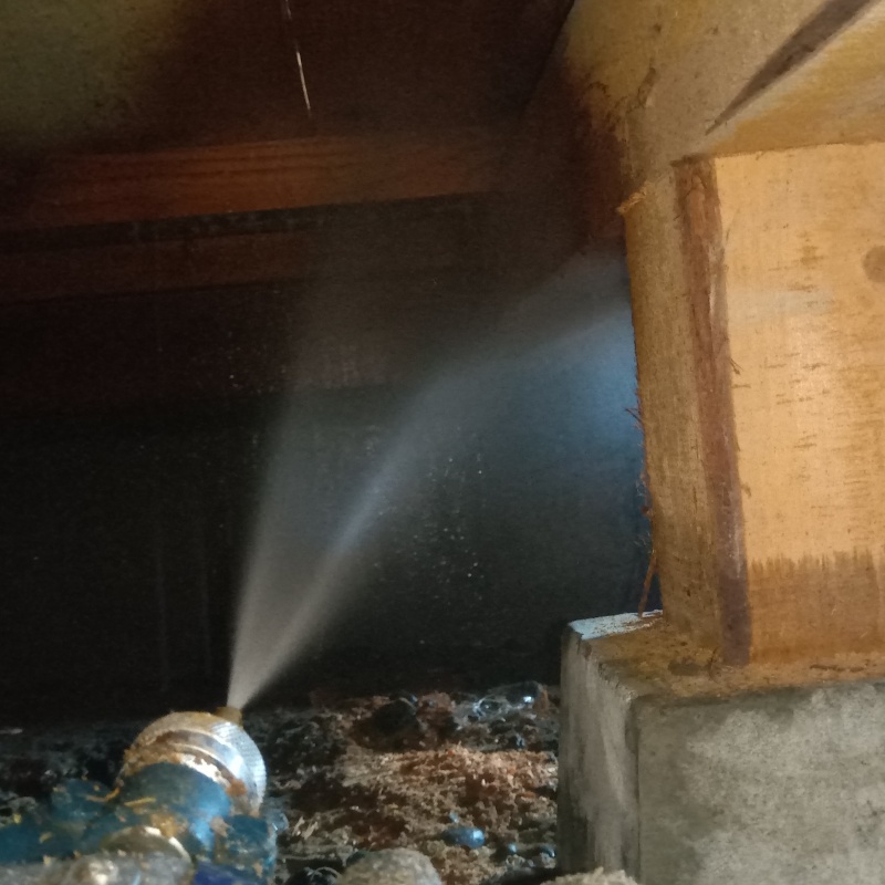 床下の木材にシロアリ駆除剤を散布する様子
