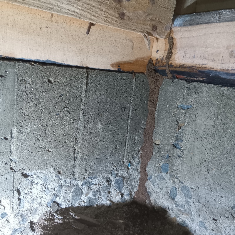 築年数50年のシロアリ駆除の施工事例（福岡県糸島市志摩船越）