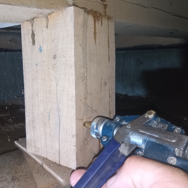 食害を受けた床下の木材にシロアリ駆除剤を注入する様子