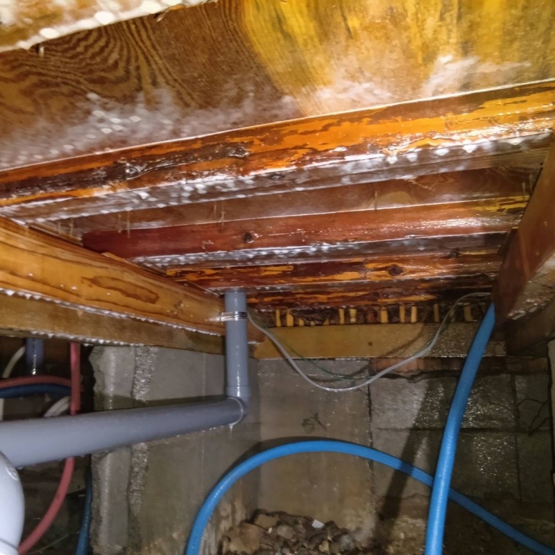 築年数40年のシロアリ予防の施工事例（福岡県八女市蒲原）