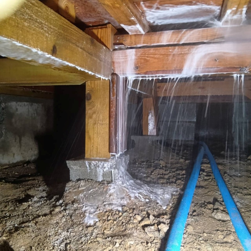 床下の木材に防蟻剤を散布する様子