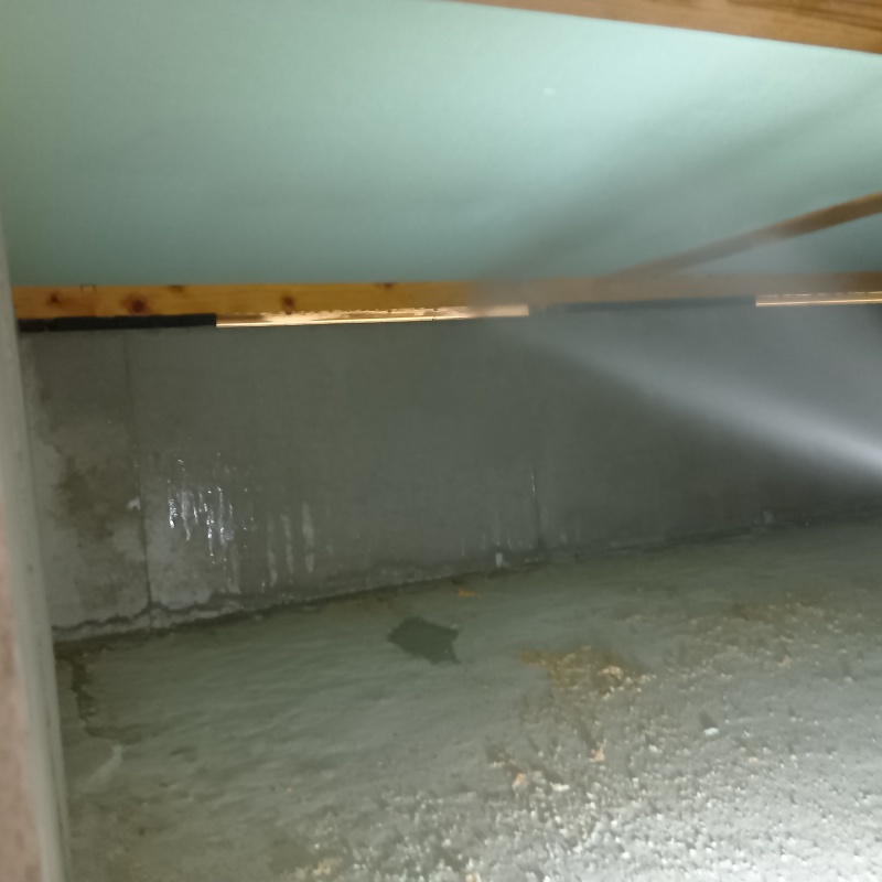 床下の木材に防蟻剤を散布する様子